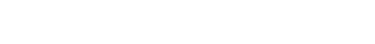 Logo FE International